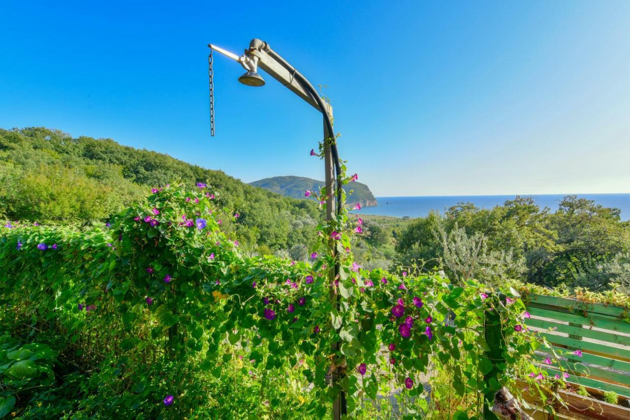 Pataki Guesthouse Petrovac Exterior photo