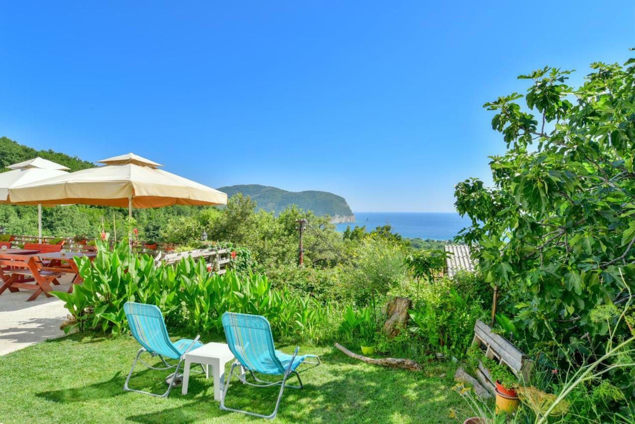 Pataki Guesthouse Petrovac Exterior photo